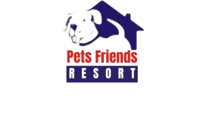 WhatsApp_Image_2025-08-29_at_12.44.30_PM-removebg-preview (1)